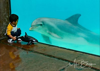 Sea World - San Diego, CA