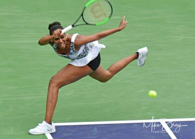 Venus Williams